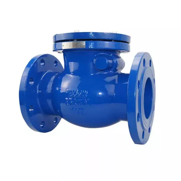 Working Principle of Check Valve