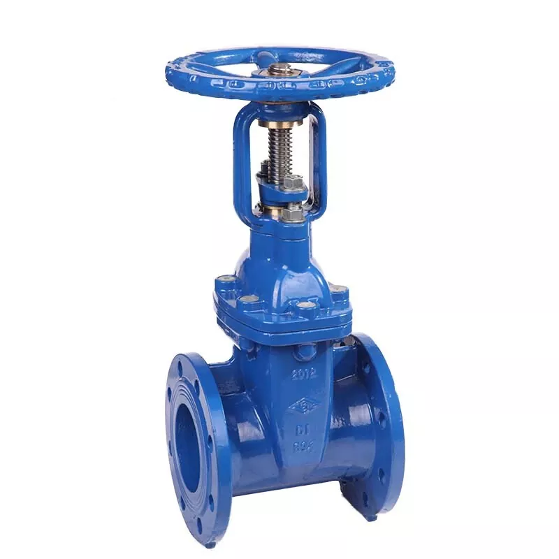 BS5163 Flanged Resilient OS&Y Gate Valve