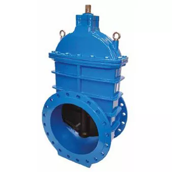 BS5163 Resilient Seated Gate Valve