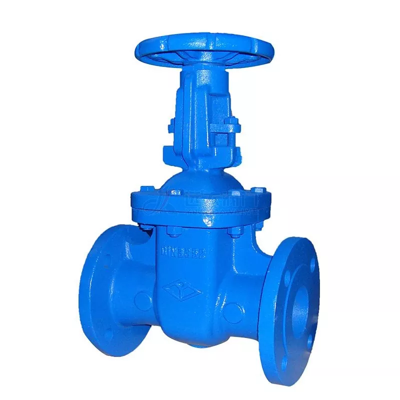 Cast Iron F5 Resilient Gate Valves