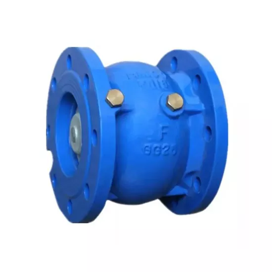 Cast Iron Silent Check Valve