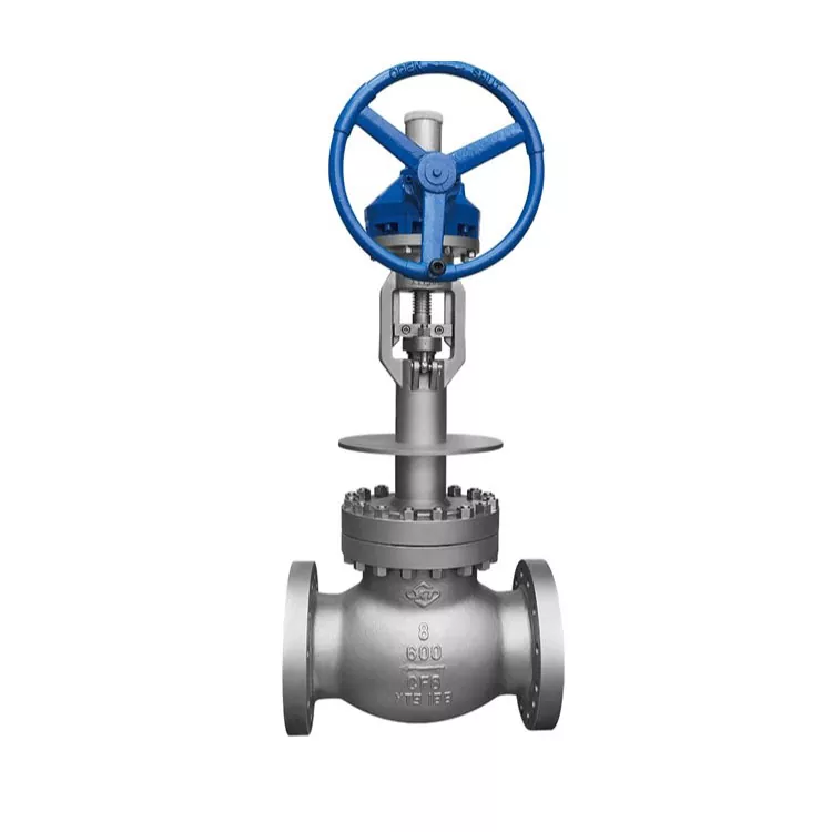 Cryogenic ANSI Globe Valve