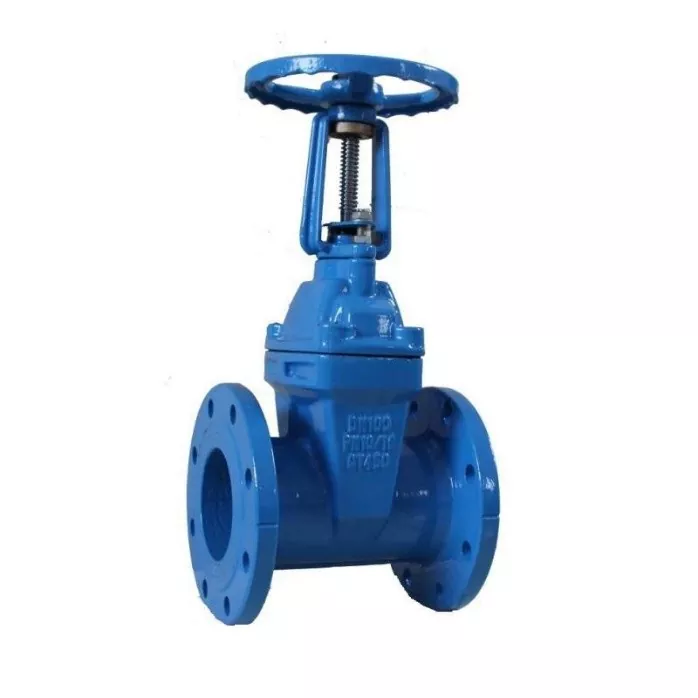 Ductile Iron BS5163 Resilient Gate Valve