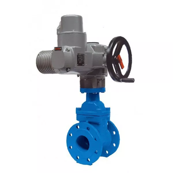 Electric Type F4 Resilient Gate Valves