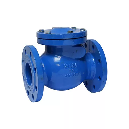 Flanged Swing Check Valve