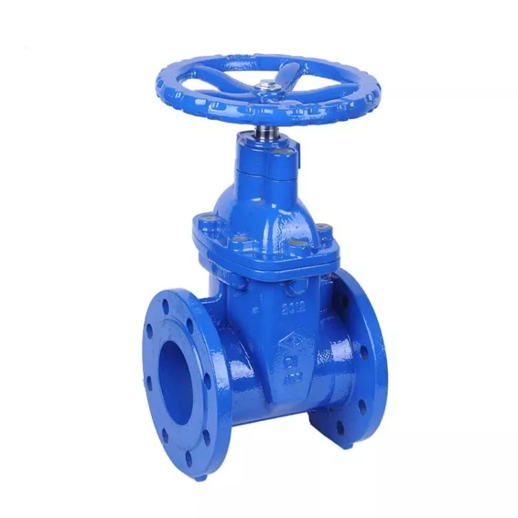 Gate Valve BS5163 Flanged Resilient NRS