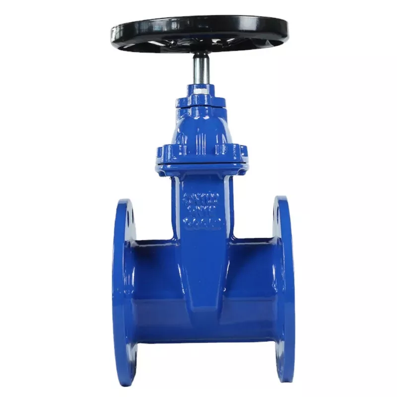 NRS Resilient Gate Valve