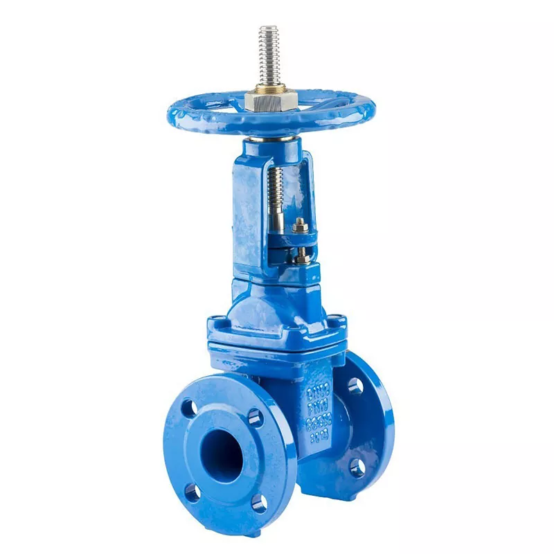 Rising Stem Resilient Gate Valve