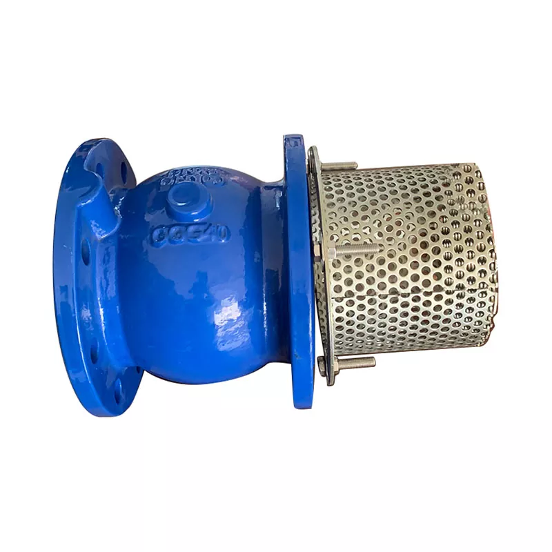 Silent Check Valve 6'' Wafer Style