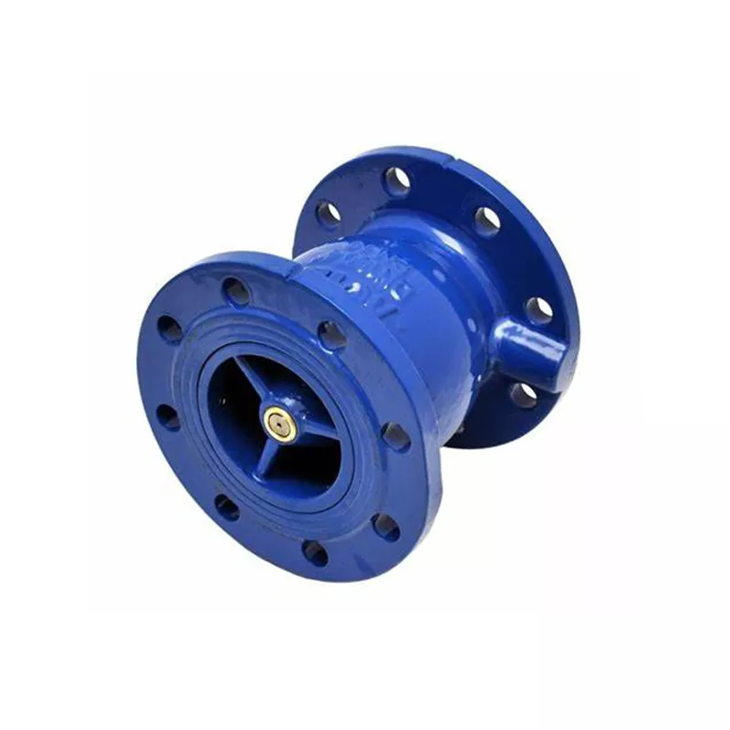 Silent Check Valve