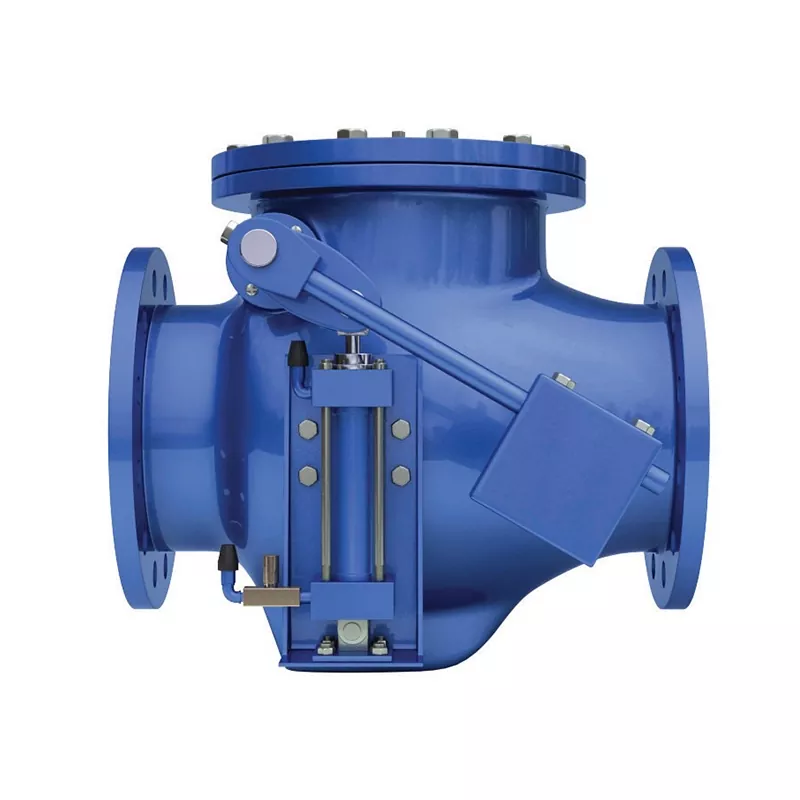 Swing Check Valves