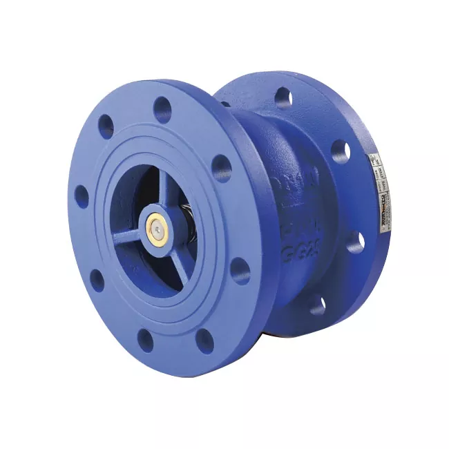 Swing Silent Check Valve